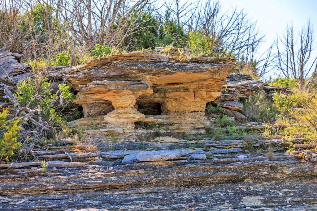 2937 Langes Mill Road Doss, TX 78618 - Photo 57 of 68 a view of a yard with an trees