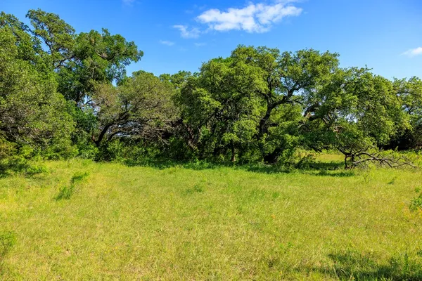 $11,728,850 | 2937 Langes Mill Road, Doss, TX 78618