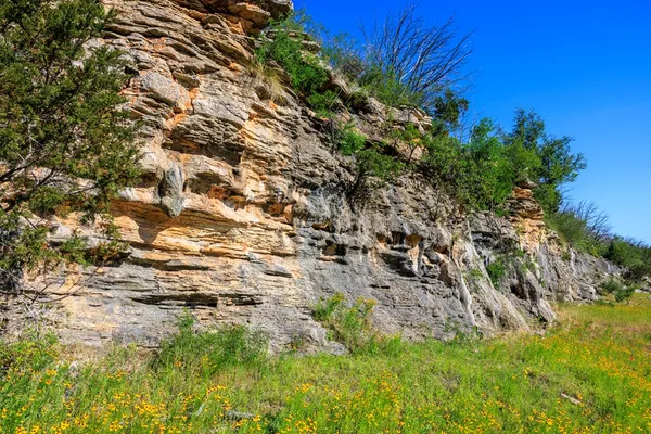 $11,728,850 | 2937 Langes Mill Road, Doss, TX 78618