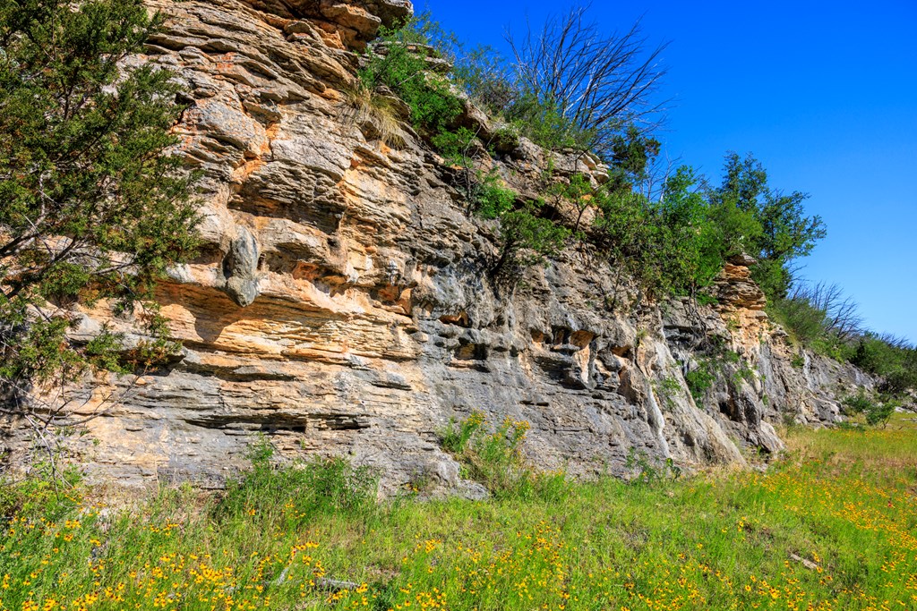 2937 Langes Mill Road Doss, TX 78618 - Photo 65 of 68