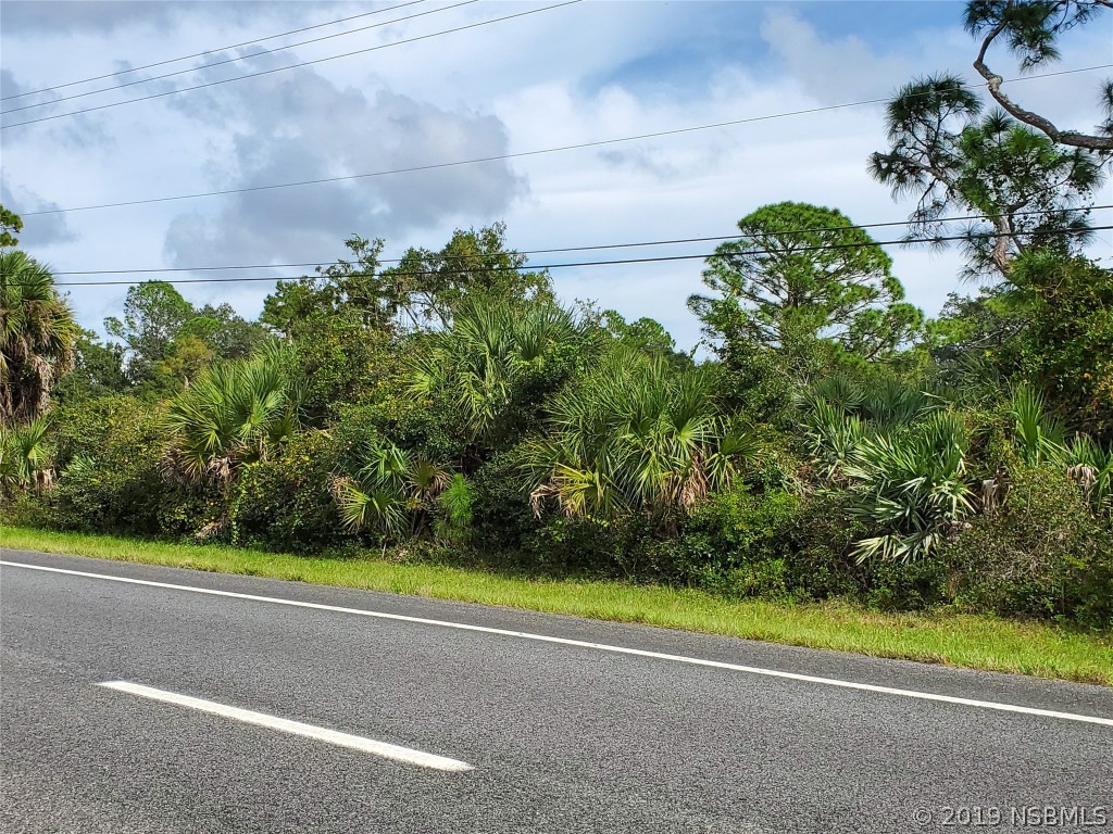 0 Us Highway Mims, FL 32754 - Photo 3 of 14 Gallery Image 3