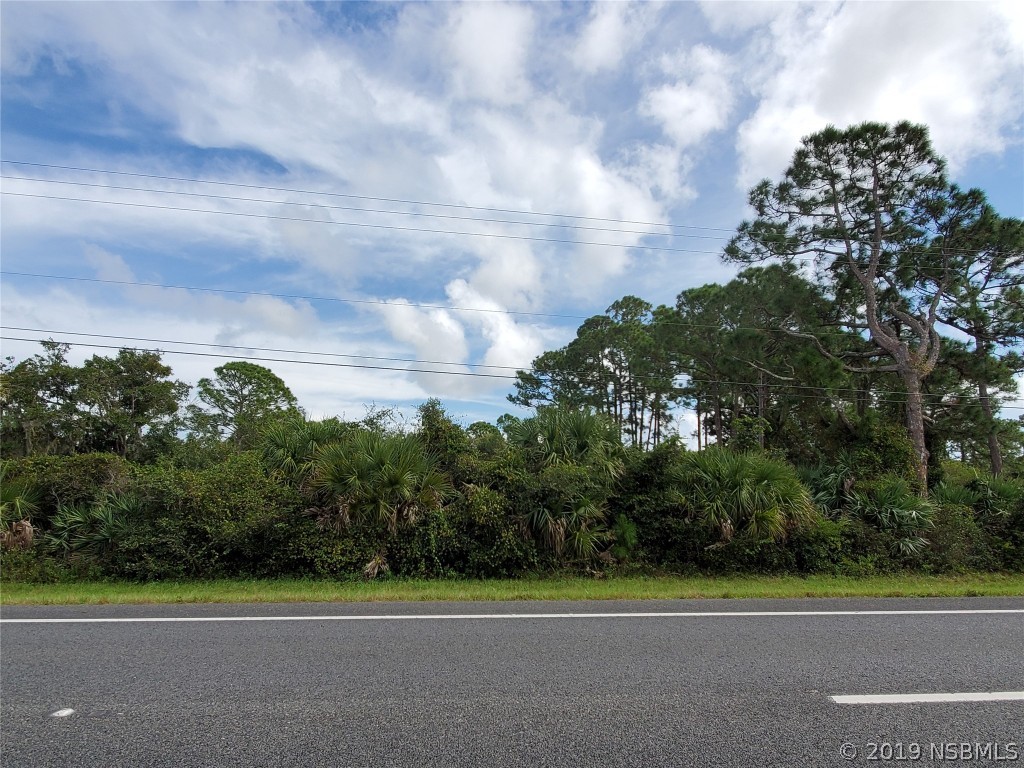 0 Us Highway Mims, FL 32754 - Photo 6 of 14 Gallery Image 6