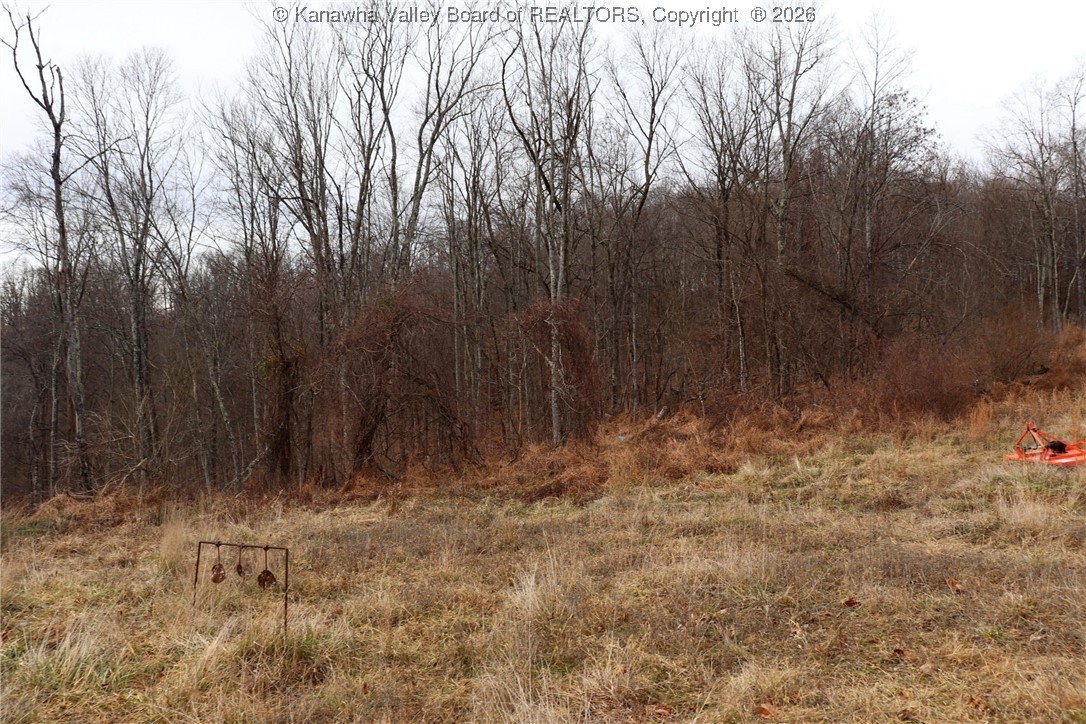 0 Route 12 Road Alum Creek, WV 25003 - Photo 7 of 44 Gallery Image 7