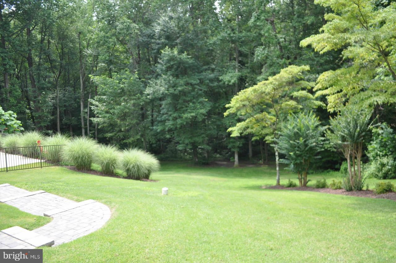 2531 Plum Point Road Huntingtown, MD 20639 - Photo 29 of 30 a view of backyard with green space