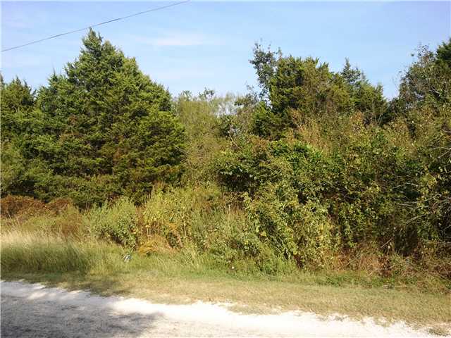 Tbd Old Firetower Road Bastrop, TX 78602 - Photo 1 of 1 Gallery Image 1