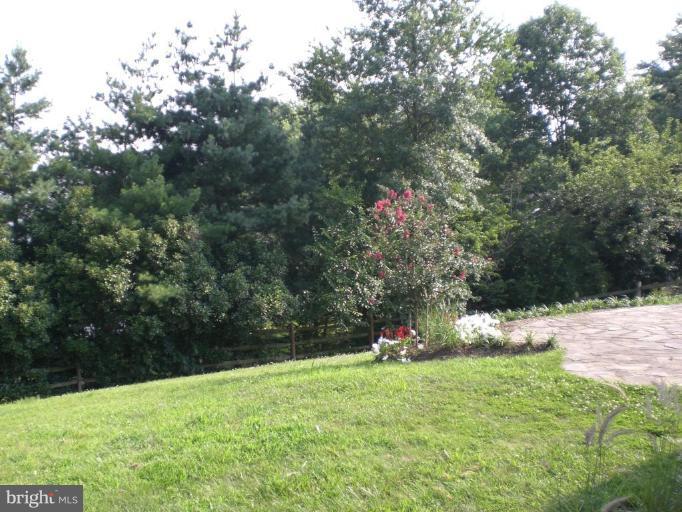 19604 Mosby Way Poolesville, MD 20837 - Photo 28 of 30 Back yard