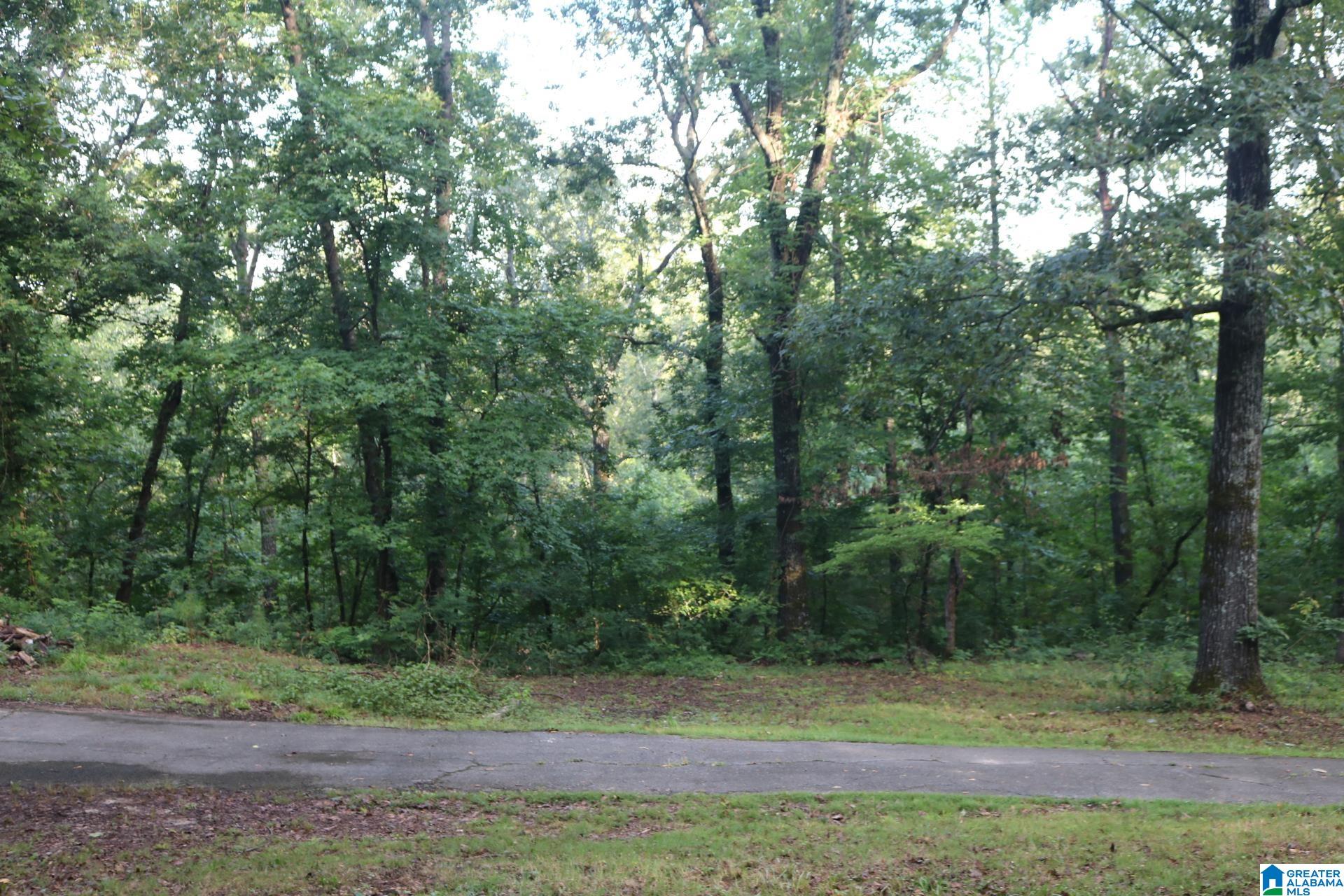 3566 15th Street Road Bessemer, AL 35023 - Photo 8 of 37