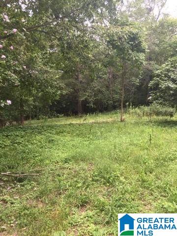 0 Old Road, Unit 4 AND 5 Scottsboro, AL 35769 - Photo 6 of 6