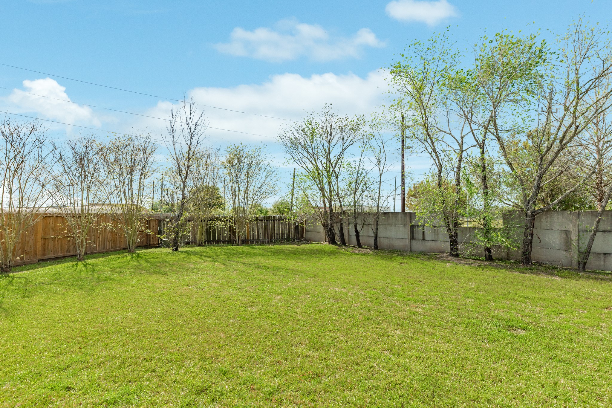 13417 Star Creek Lane Rosharon, TX 77583 - Photo 32 of 41 a view of a yard with palm trees