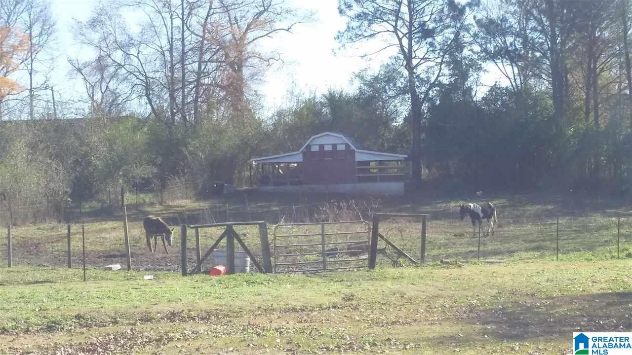 510 Chapman Road Goodwater, AL 35072 - Photo 18 of 18
