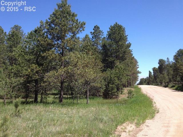 12270 Dawson Road Elbert, CO 80106 - Photo 3 of 12