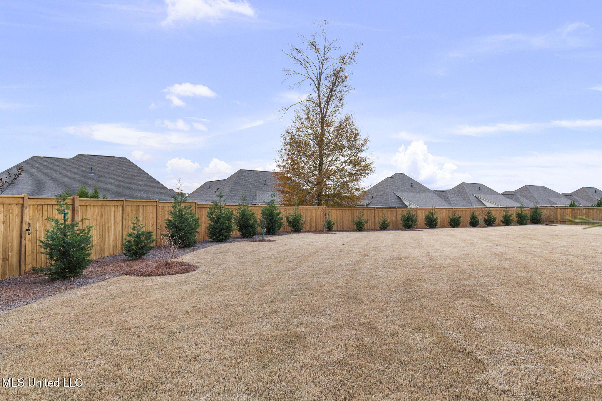 115 Paylors Way Madison, MS 39110 - Photo 68 of 78 68-web-or-mls-115 Paylors Way-68