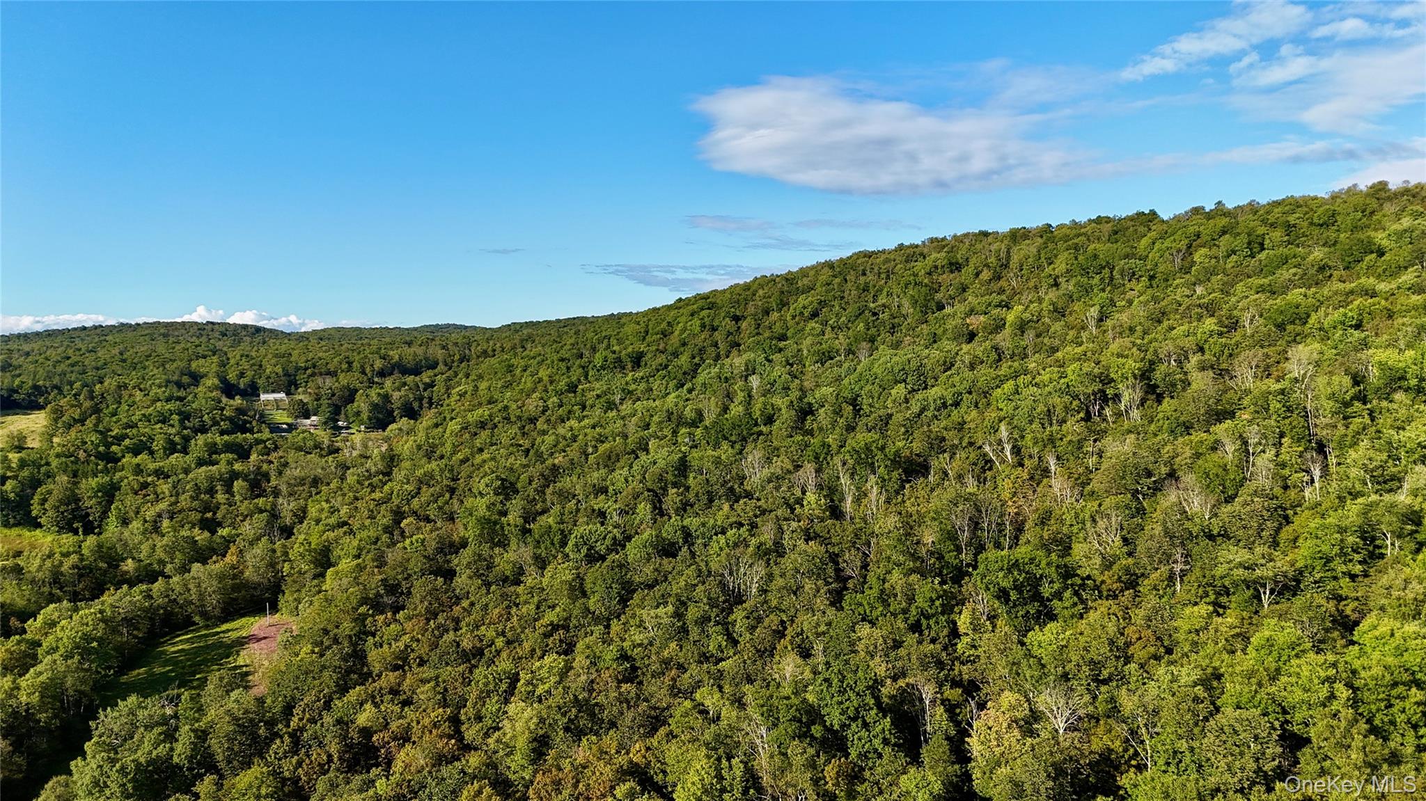 216 Neer Road Long Eddy, NY 12760 - Photo 16 of 48