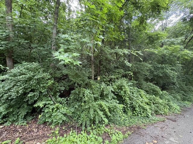 163 Dal Brown Road Chattanooga, TN 37405 - Photo 8 of 14 Gallery Image 8