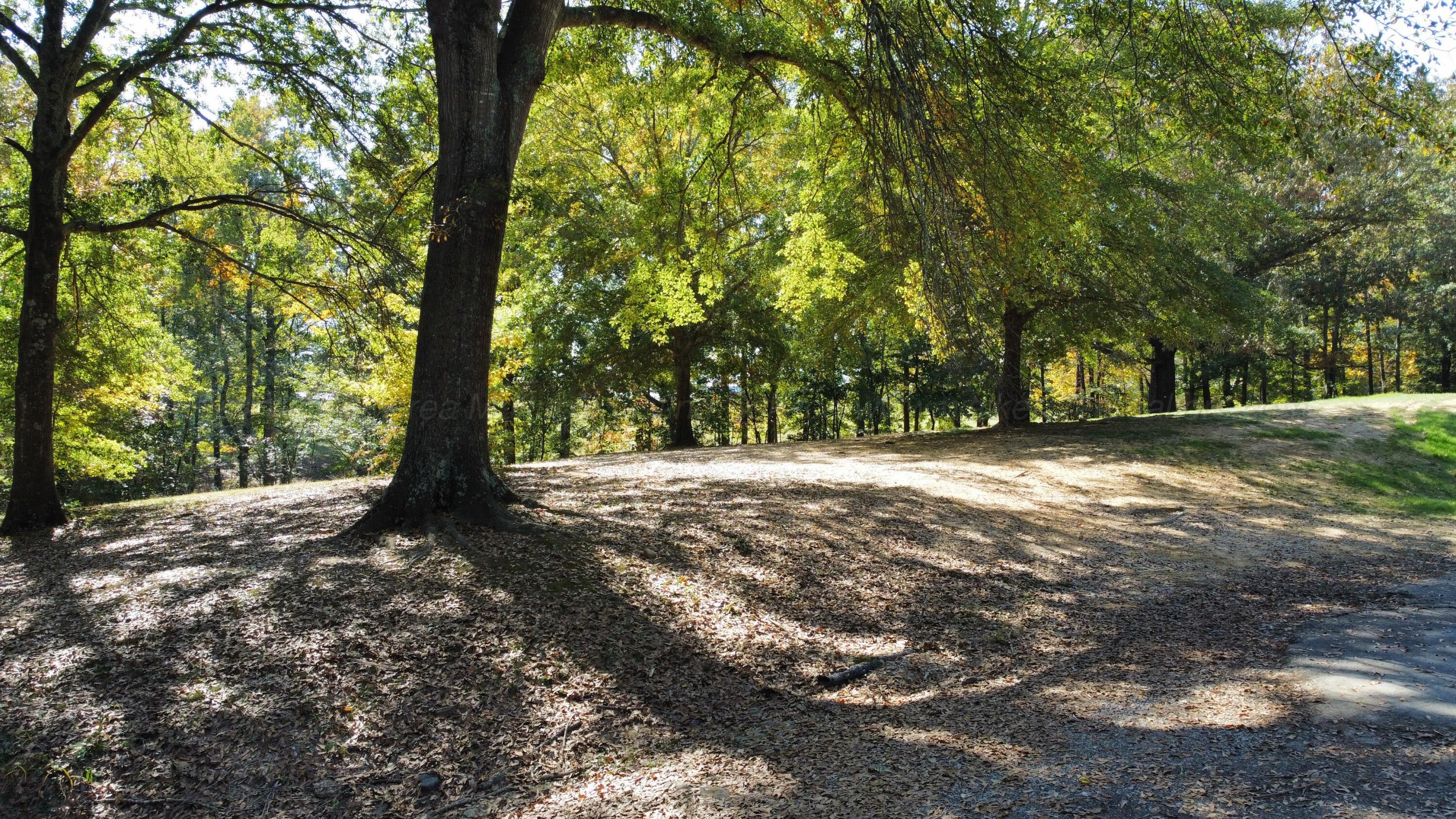 291 County Road 43 Addison, AL 35540 - Photo 42 of 50 Gallery Image 42