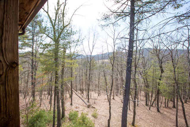 191 Mountaintop Drive Mathias, WV 26812 - Photo 20 of 21 Gallery Image 20