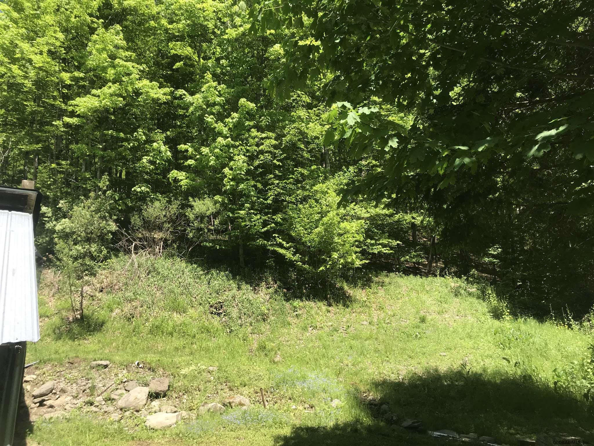 1033 West Kill Road Blenheim, NY 12093 - Photo 26 of 37 Photo 26