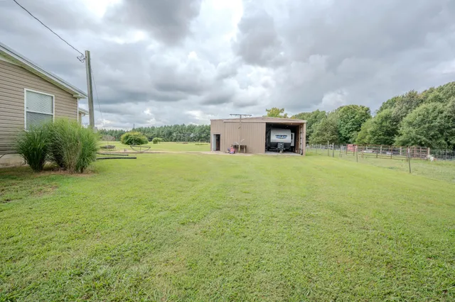 a view of a big yard with potted plants