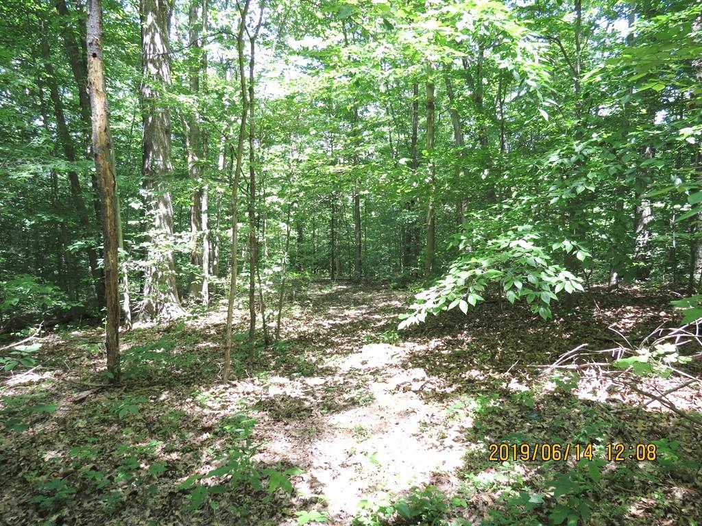 7358 North Oak Ridge Road Morgantown, IN 46160 - Photo 29 of 30 Gallery Image 29