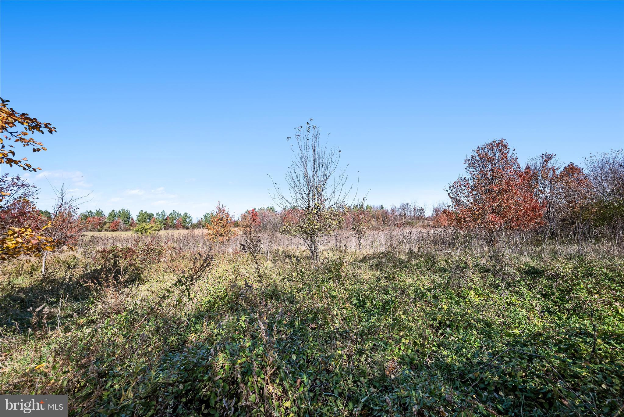 751-761 Old Charles Town Road Stephenson, VA 22656 - Photo 45 of 58 Landscape