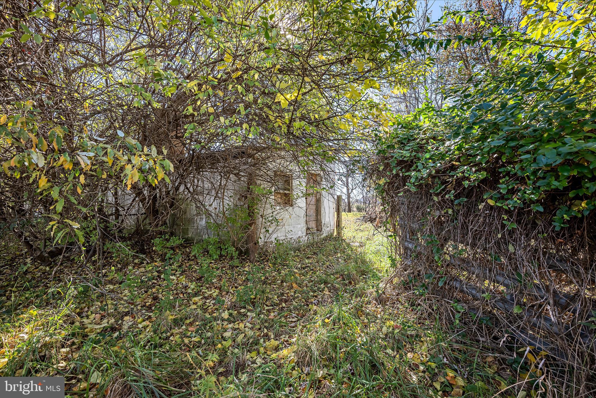751-761 Old Charles Town Road Stephenson, VA 22656 - Photo 46 of 58