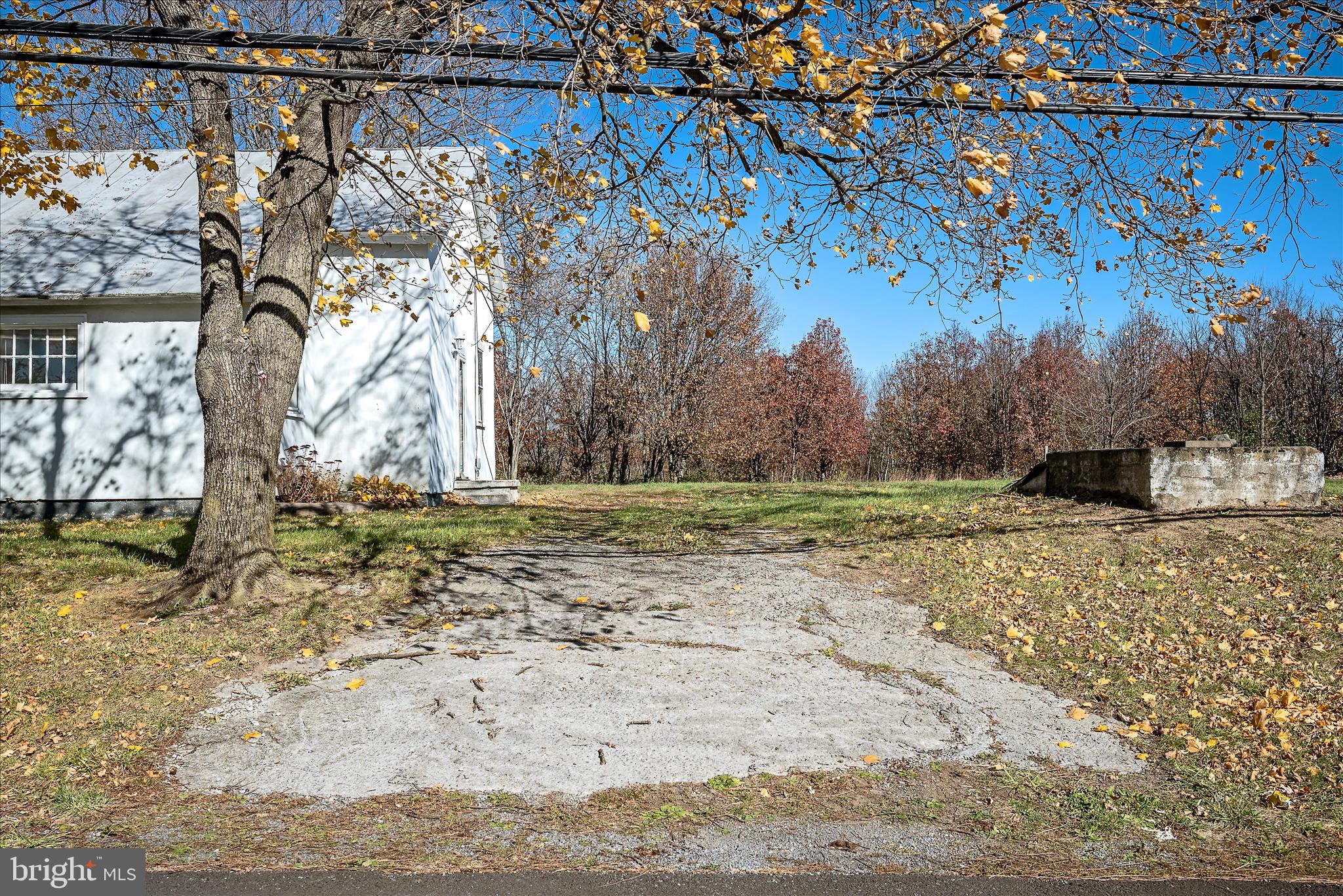 751-761 Old Charles Town Road Stephenson, VA 22656 - Photo 48 of 58 a view of a yard with a tree