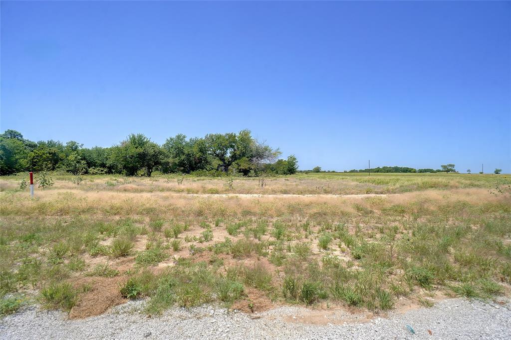 159 Blackstar Lane Decatur, TX 76234 - Photo 6 of 25