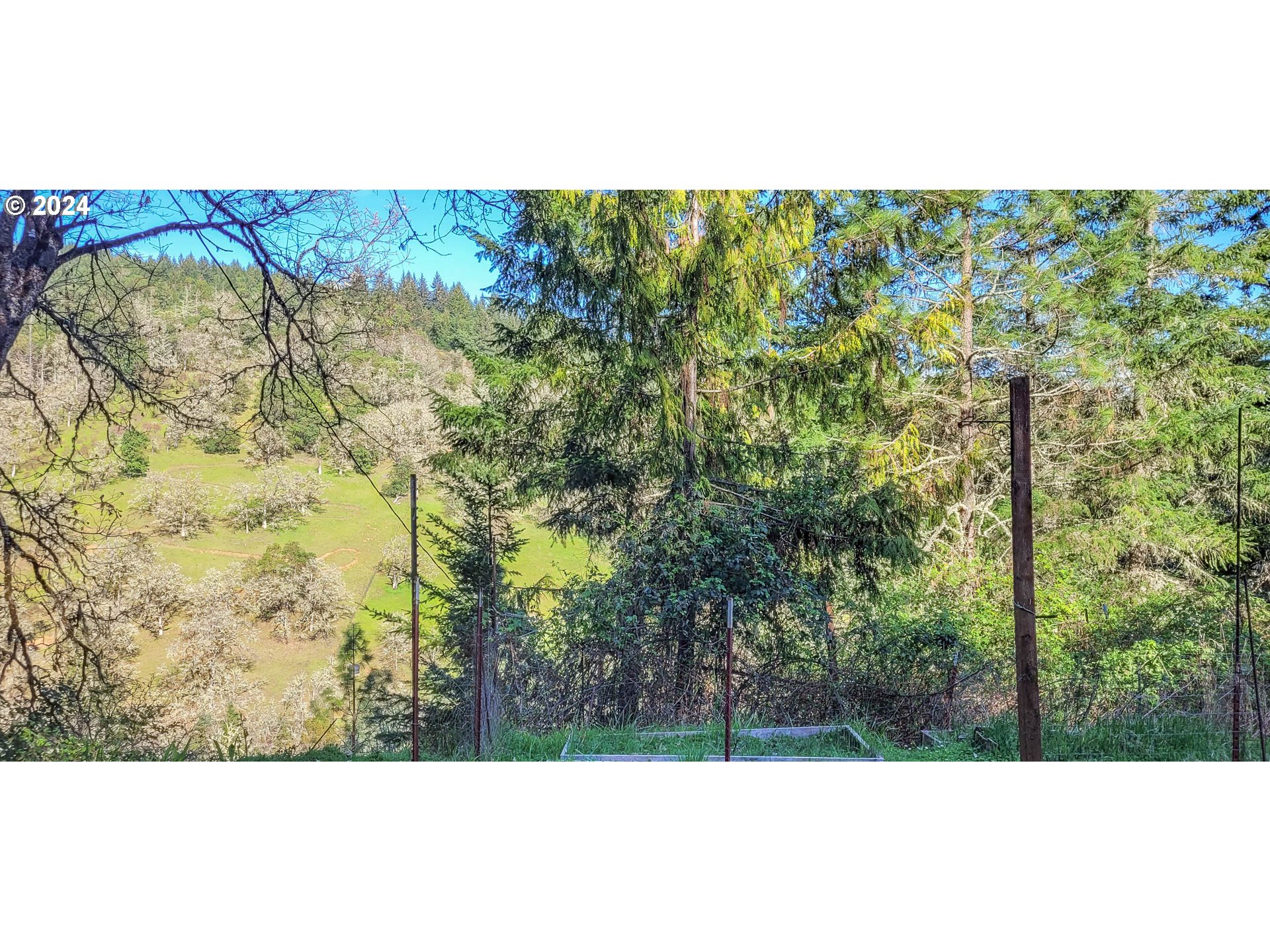 4240 Green Valley Road Oakland, OR 97462 - Photo 3 of 21 Gallery Image 3