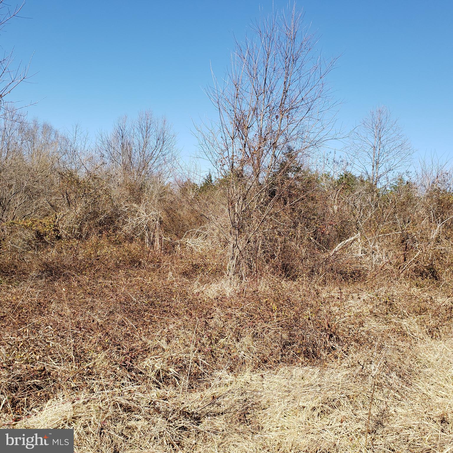 6.5 Acre Lot