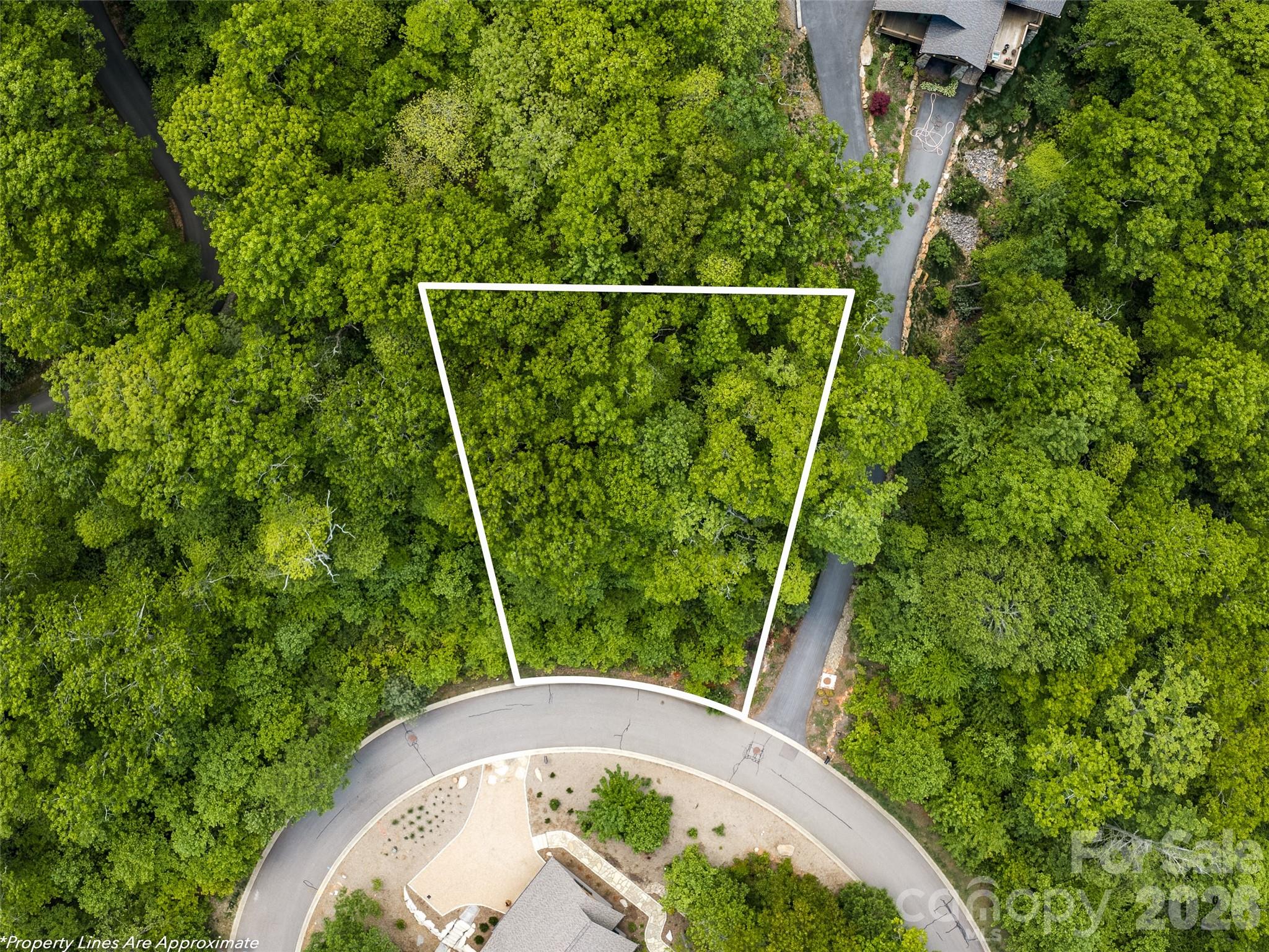 9 Crockett Ridge Road Black Mountain, NC 28711 - Photo 4 of 17