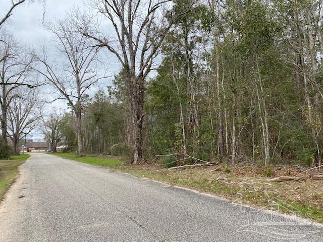 1 Green Rowell Road Jay, FL 32565 - Photo 11 of 17