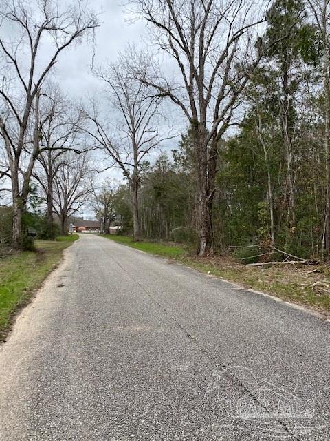 1 Green Rowell Road Jay, FL 32565 - Photo 12 of 17