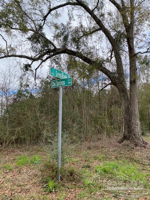 1 Green Rowell Road Jay, FL 32565 - Photo 13 of 17 Street Sign at the Northern Corner of the 7.01+/-