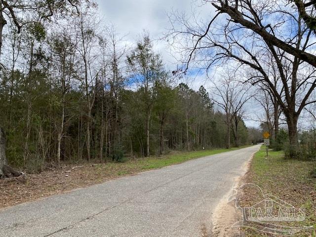 1 Green Rowell Road Jay, FL 32565 - Photo 15 of 17