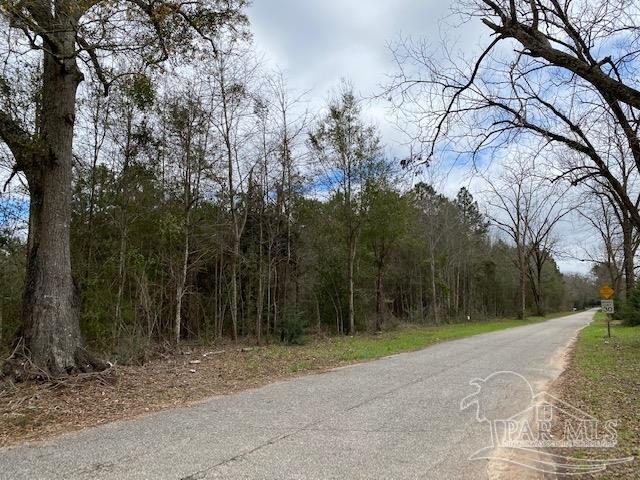 1 Green Rowell Road Jay, FL 32565 - Photo 17 of 17