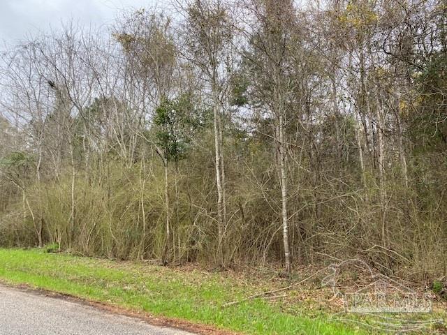 1 Green Rowell Road Jay, FL 32565 - Photo 6 of 17