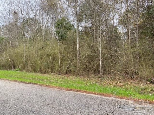 1 Green Rowell Road Jay, FL 32565 - Photo 8 of 17