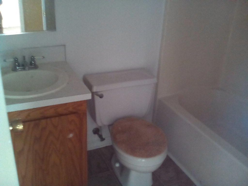 1449 Camp Road Charleston, SC 29412 - Photo 7 of 7 Hall Bathroom