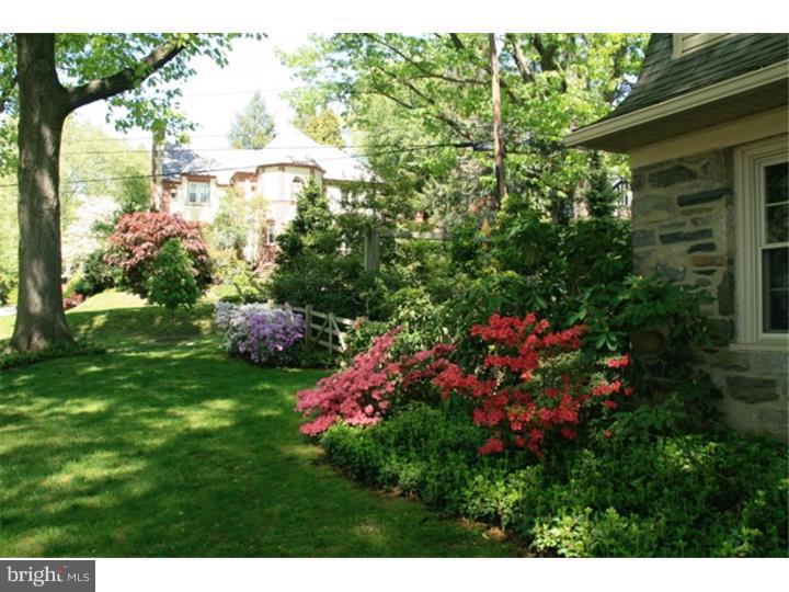 519 Cambridge Road Bala Cynwyd, PA 19004 - Photo 22 of 25 Side Yard