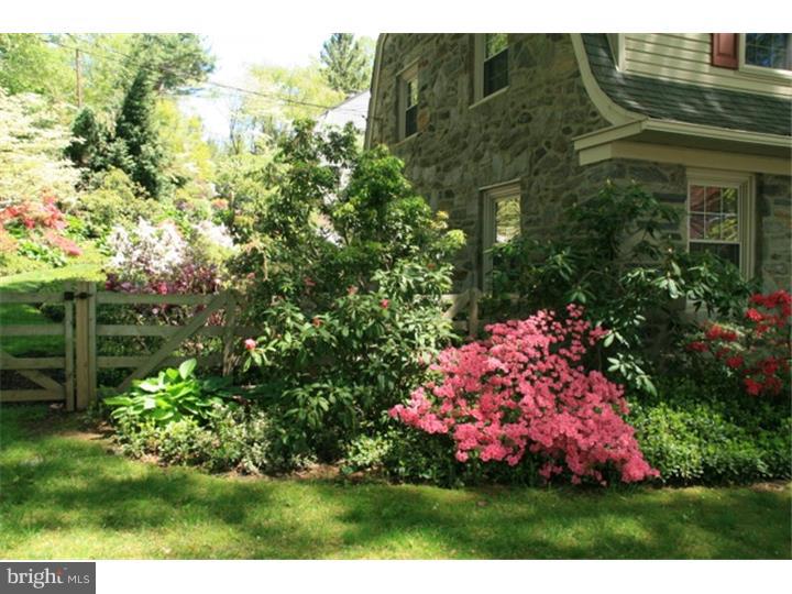 519 Cambridge Road Bala Cynwyd, PA 19004 - Photo 24 of 25 Front Yard