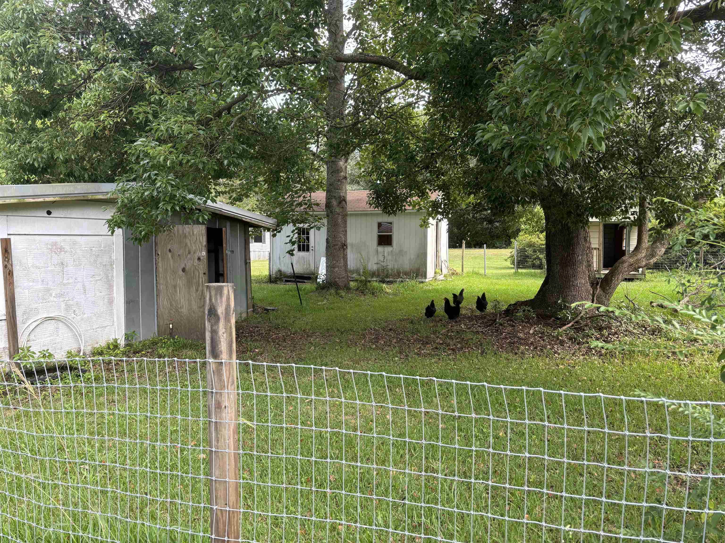 24150 Patterson Road Robertsdale, AL 36567 - Photo 5 of 11