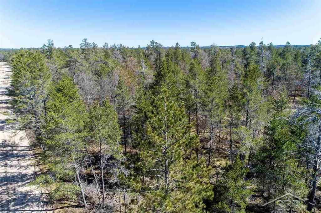 Vl South Whirlpool Road Grayling, MI 49738 - Photo 15 of 21 Gallery Image 15