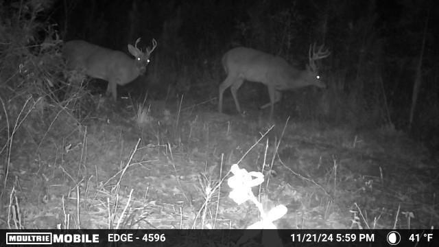 250 Adams Mill Road Clayton, AL 36016 - Photo 73 of 74