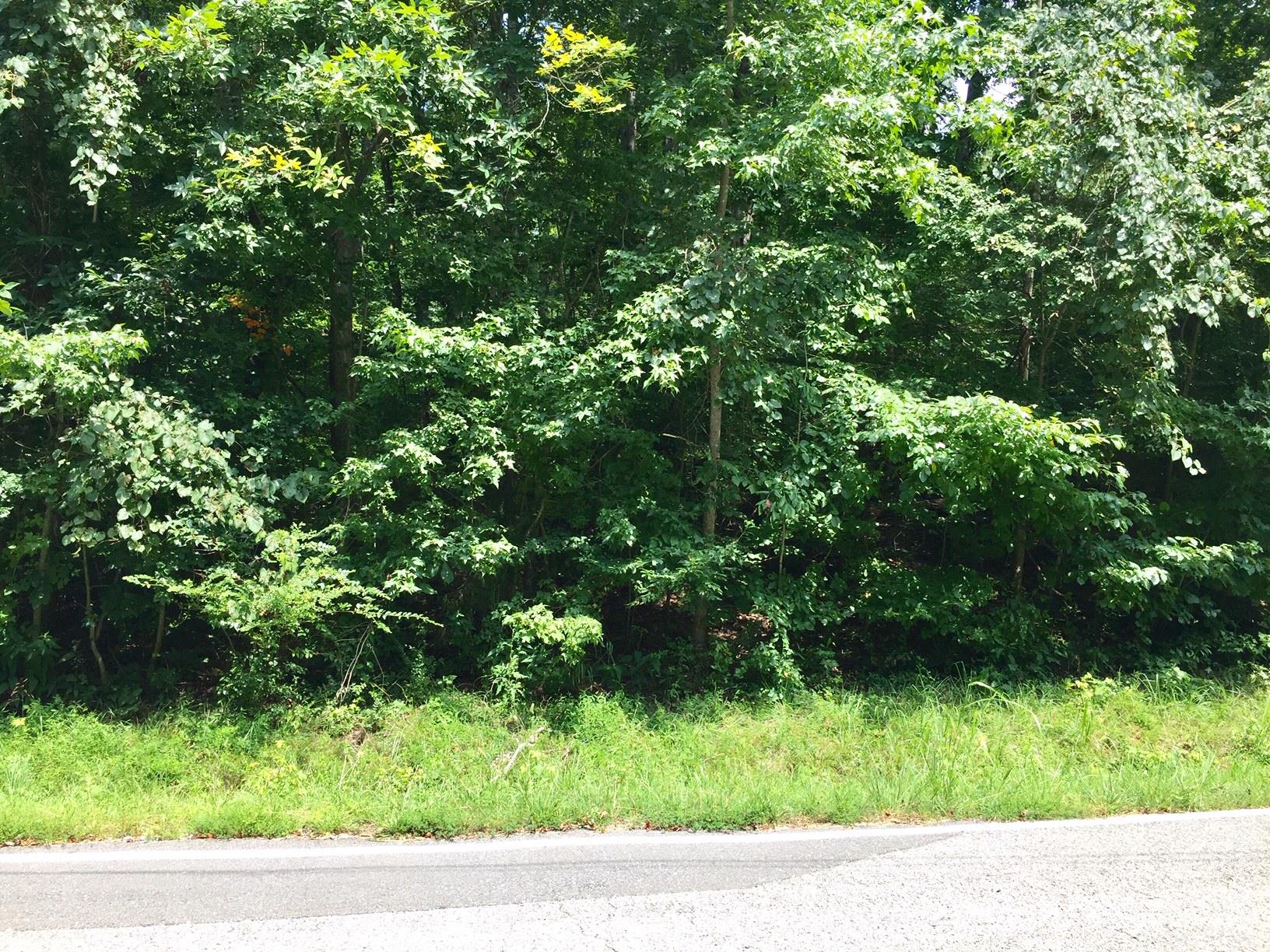 0 Mimi Road Clarksville, TN 37040 - Photo 3 of 4 Gallery Image 3