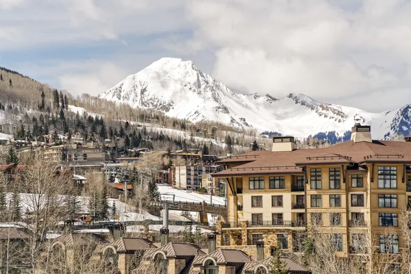 a view of a lush green space with sea