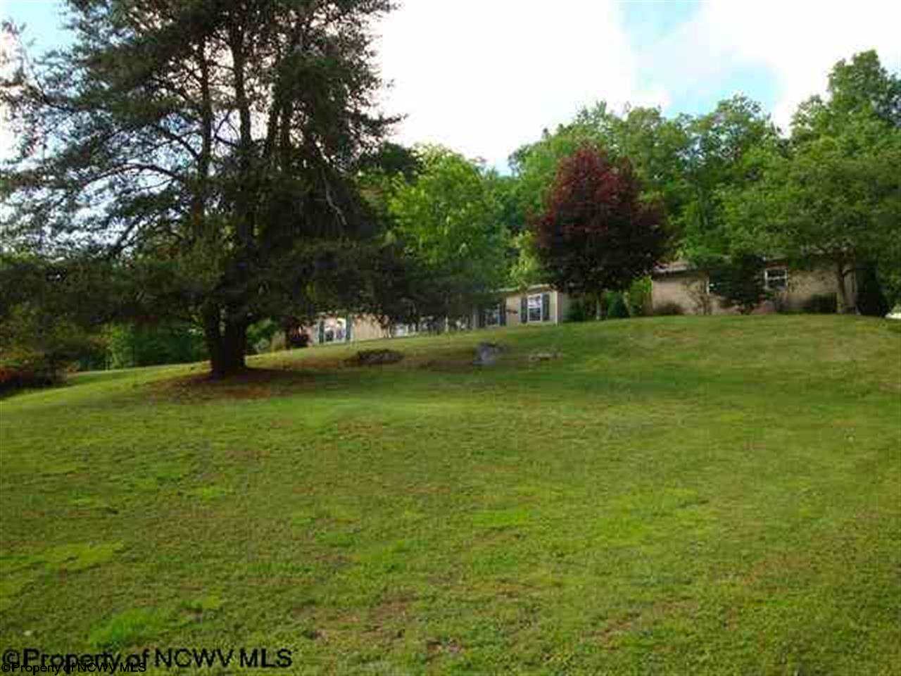 147 Timber Ridge Drive Buckhannon, WV 26201 - Photo 1 of 20 Gallery Image 1