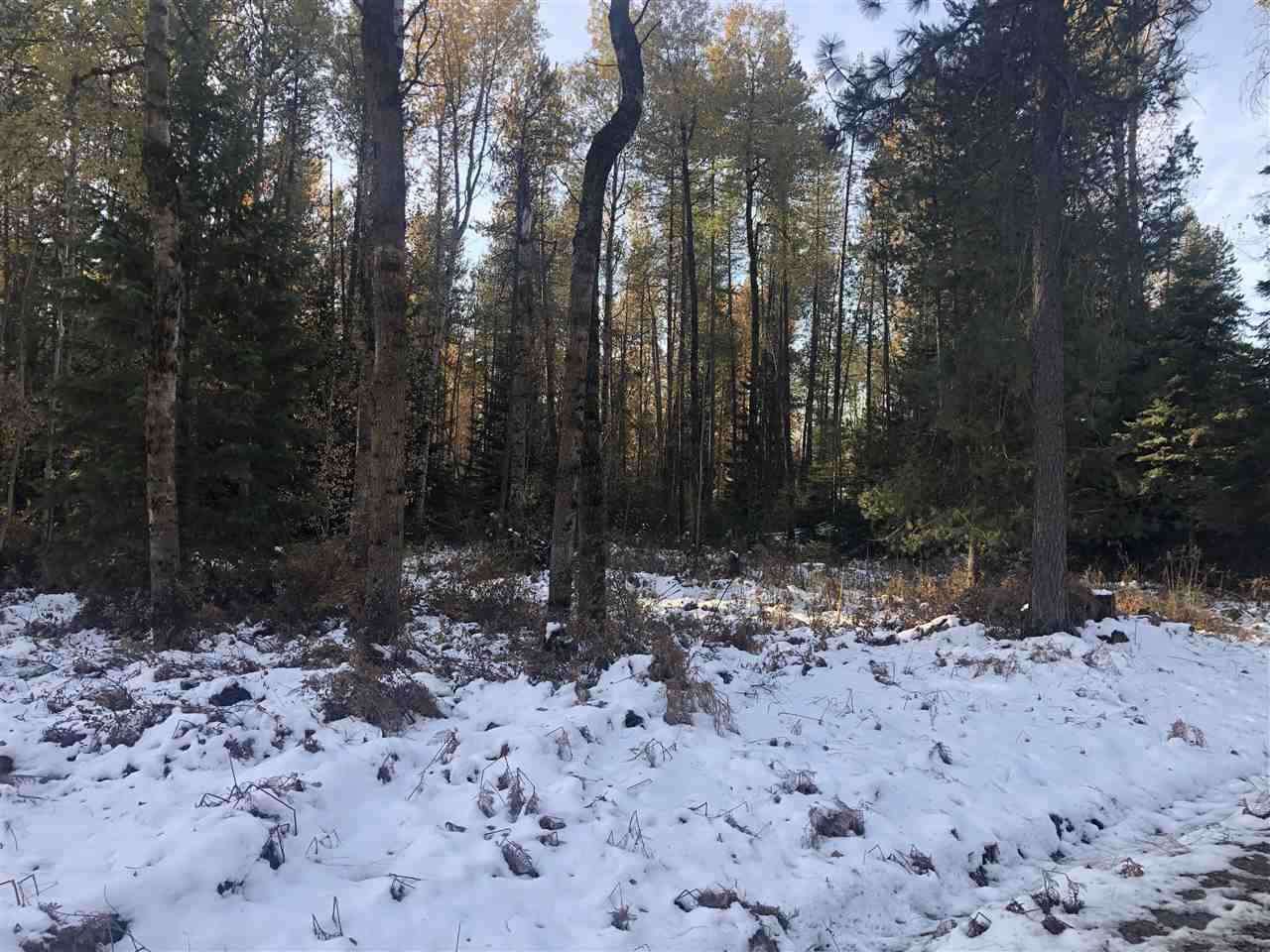 Xx Xx Mason Road Clayton, WA 99110 - Photo 4 of 5