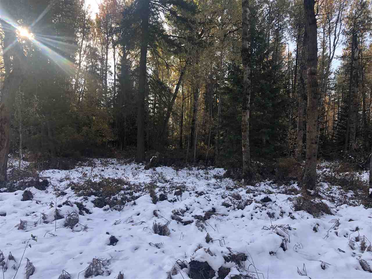 Xx Xx Mason Road Clayton, WA 99110 - Photo 5 of 5