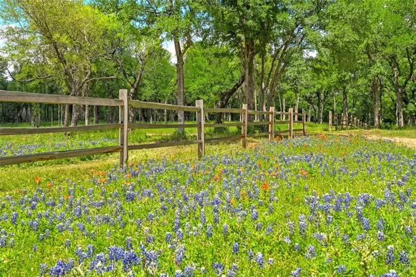 a view of a park with large trees