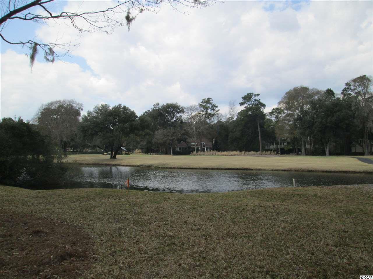 105 Pinckney Lane Georgetown, SC 29440 - Photo 23 of 24 Gallery Image 23